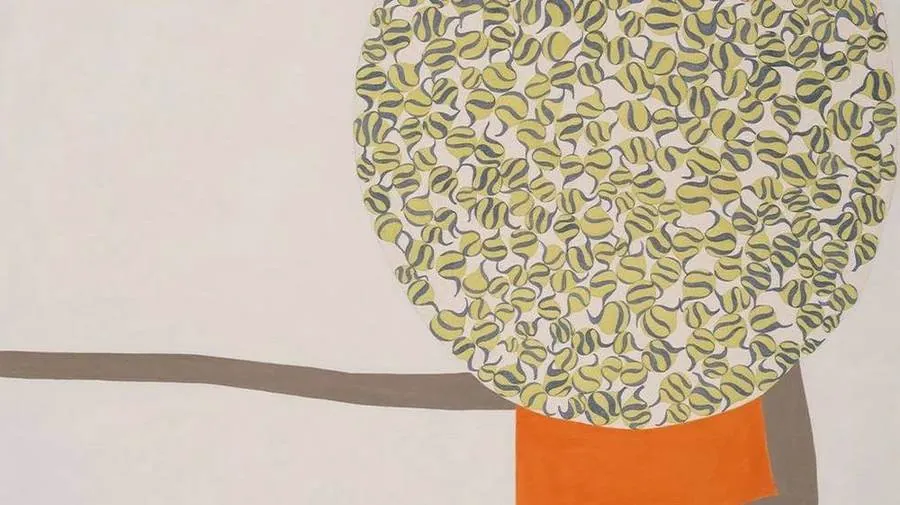 Nobuko Watabiki. The Path Traced by Light