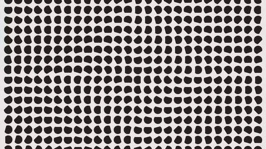 Julio Le Parc: Light. Colour. Action.