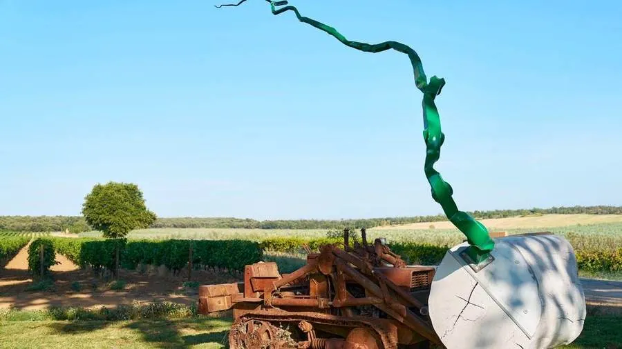 Voir à travers
