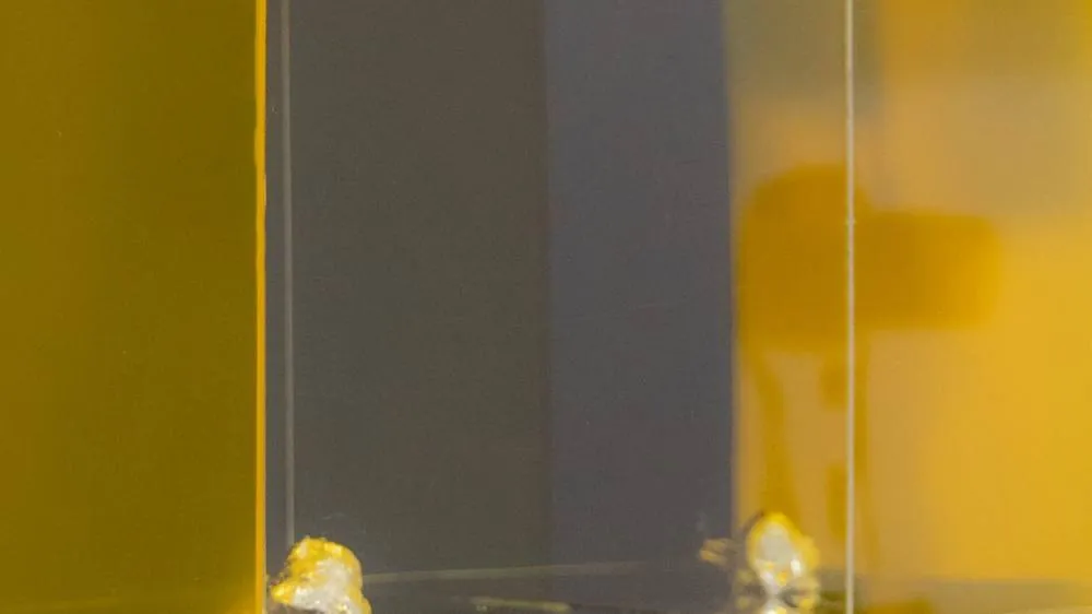 Liliana Moro. Metamorfosi