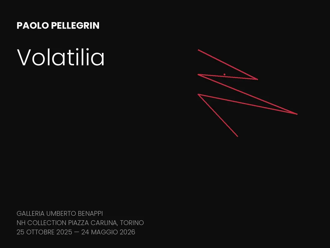 Paolo Pellegrin. Volatilia