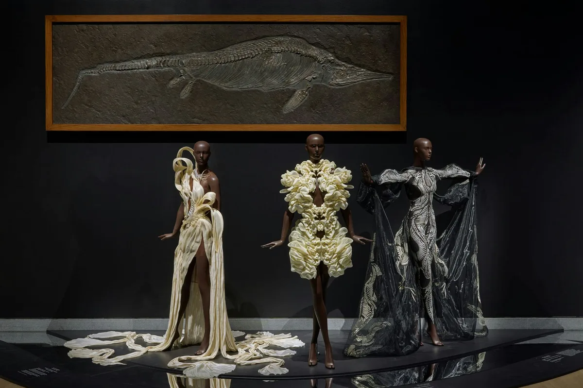 Iris van Herpen, Sculpting the Senses, installation view. Courtesy Brooklyn Museum. Diritti dell'immagine riservati.