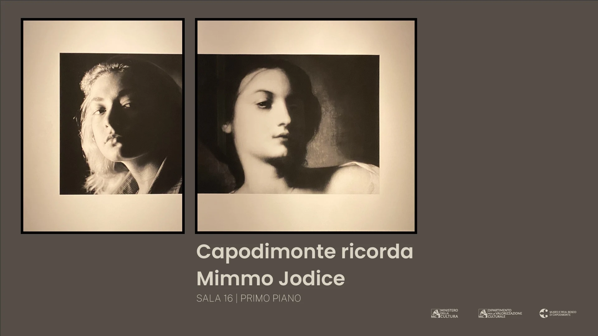 Courtesy Museo e Real Bosco di Capodimonte, Napoli. Diritti dell'immagine riservati.