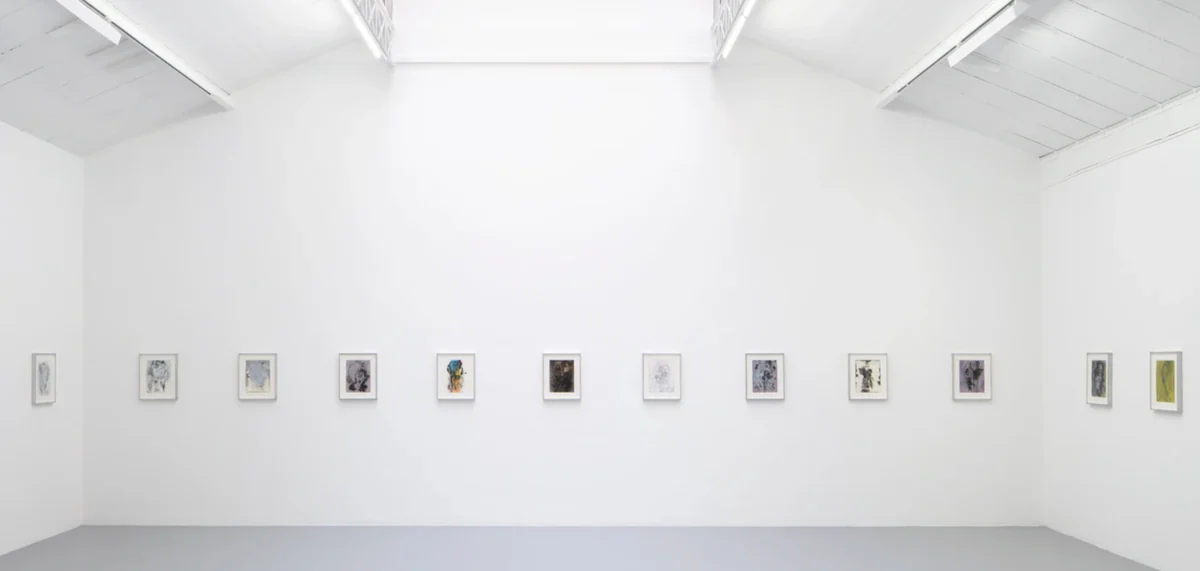 Immaterial Figures and Forces