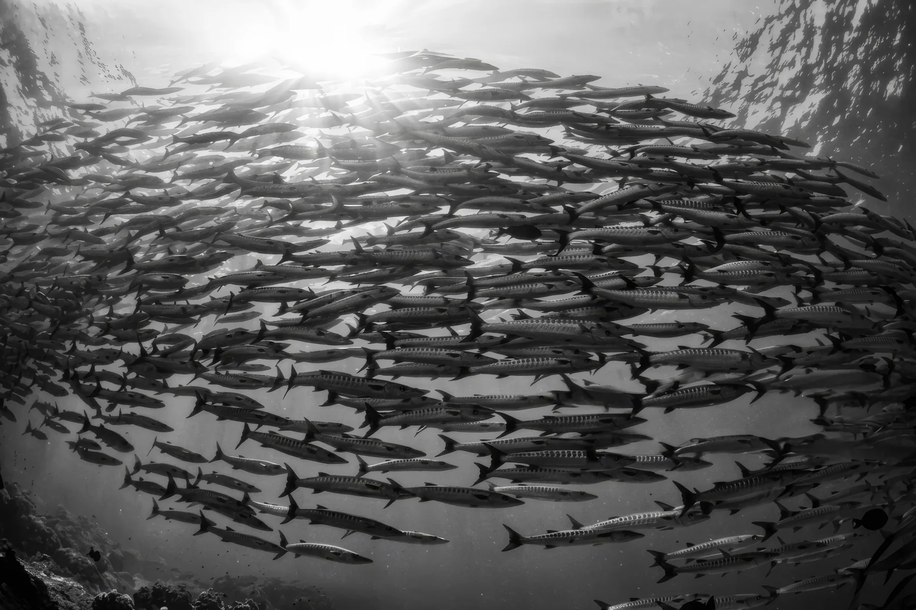 The Unsilent Fragility