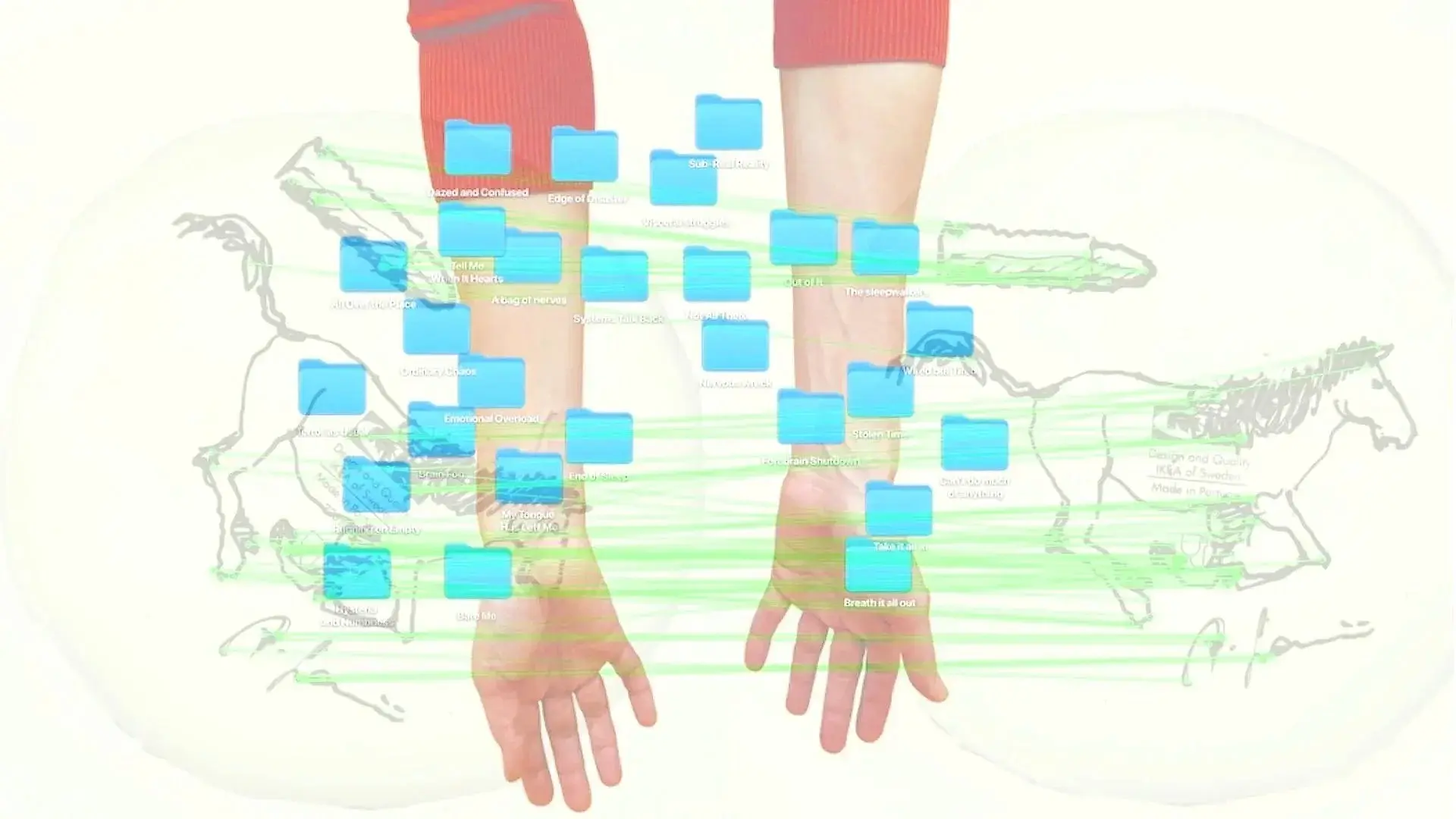 The Nervous System
