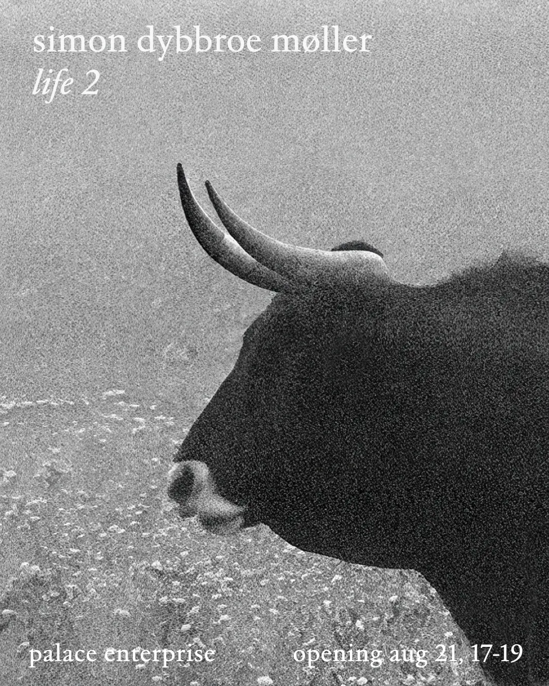 life 2