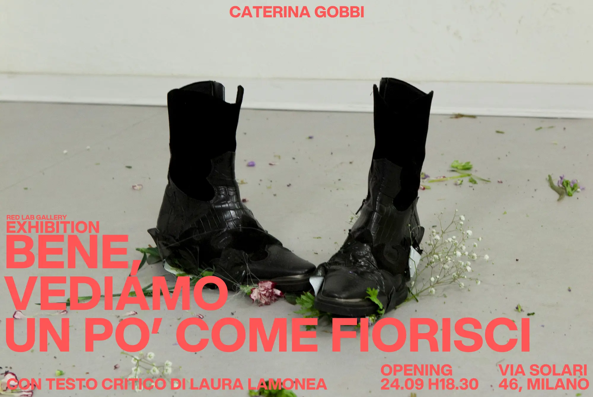 Bene, vediamo un po' come fiorisci