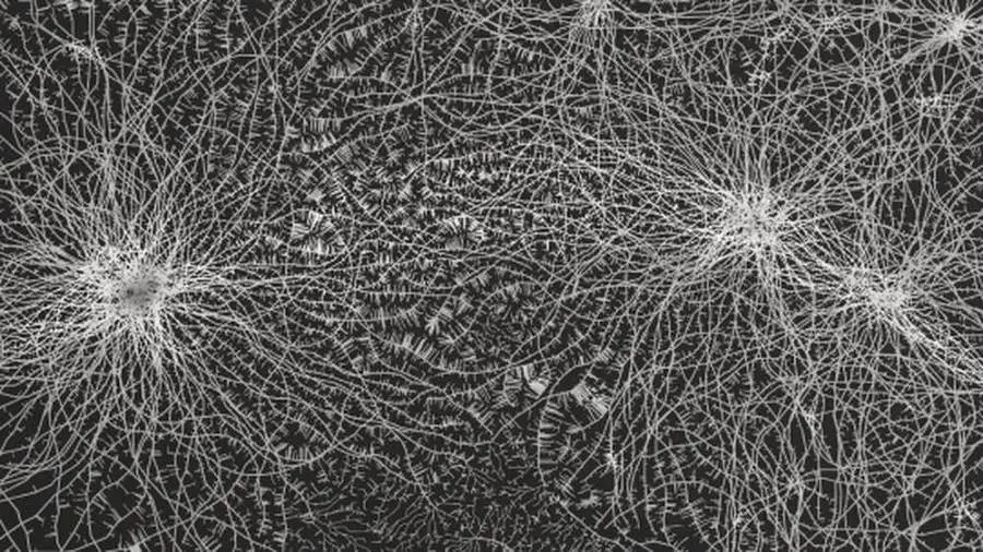 Rhizomatiks. After Understanding
