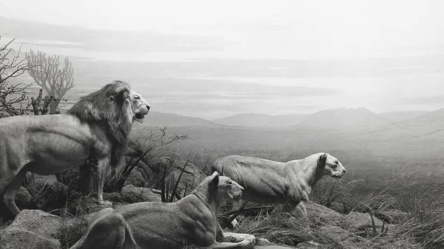 Hiroshi Sugimoto. Unnatural Habitat