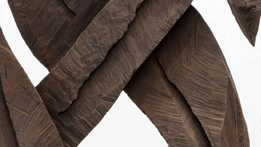 Catching Forms. Wood to Bronze