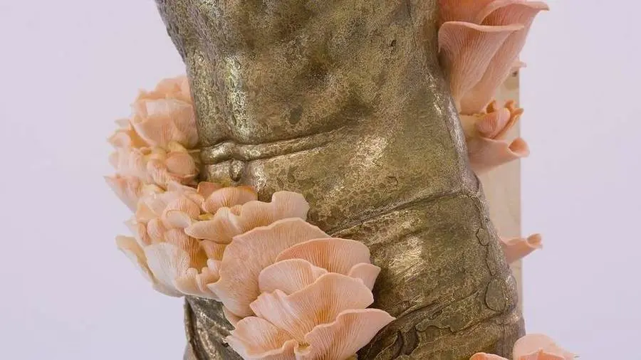 Danh Vo
